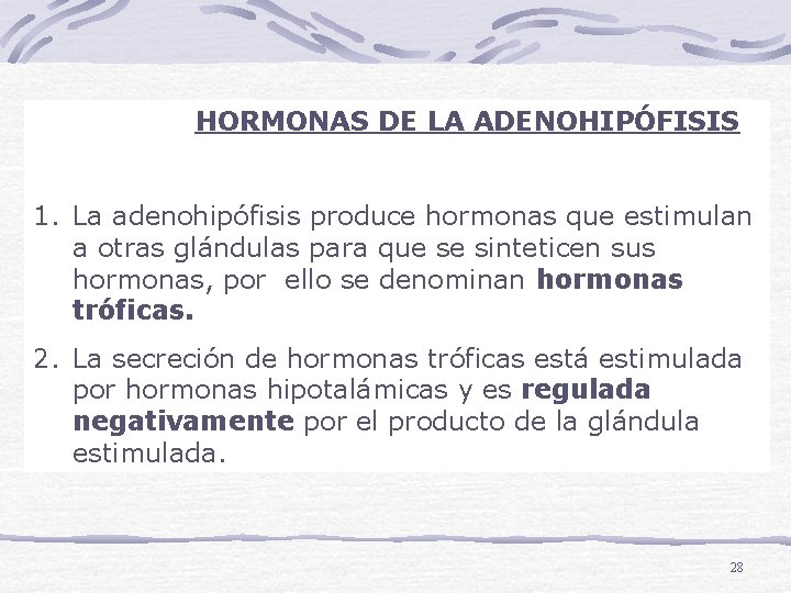 HORMONAS DE LA ADENOHIPÓFISIS 1. La adenohipófisis produce hormonas que estimulan a otras glándulas