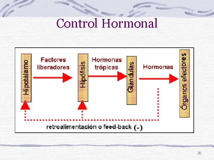 Control Hormonal (-) 30 