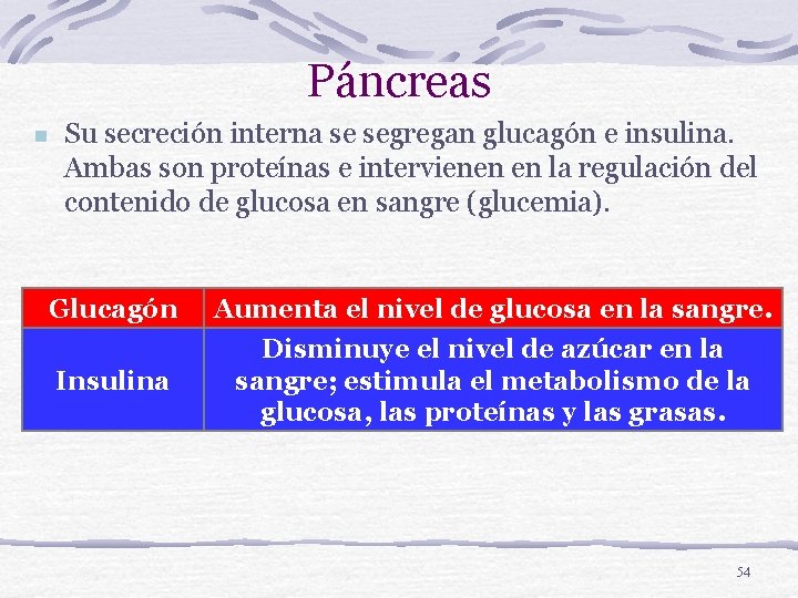 Páncreas n Su secreción interna se segregan glucagón e insulina. Ambas son proteínas e