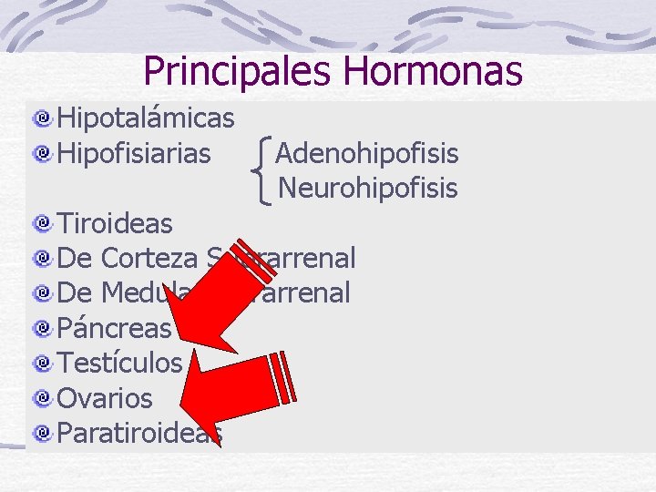 Principales Hormonas Hipotalámicas Hipofisiarias Adenohipofisis Neurohipofisis Tiroideas De Corteza Suprarrenal De Medula Suprarrenal Páncreas