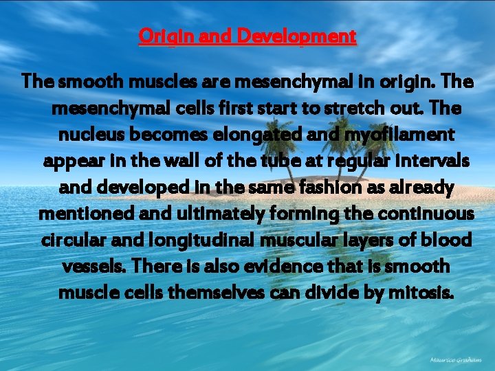 Origin and Development The smooth muscles are mesenchymal in origin. The mesenchymal cells first