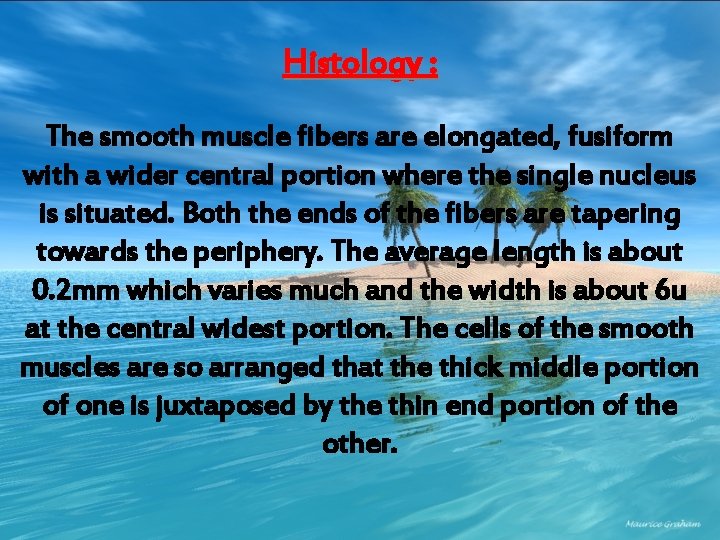 Histology : The smooth muscle fibers are elongated, fusiform with a wider central portion