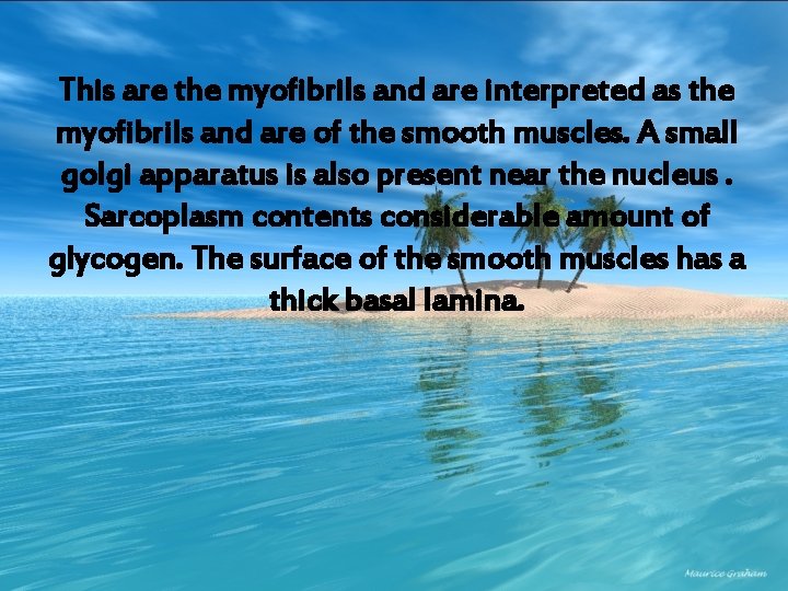 This are the myofibrils and are interpreted as the myofibrils and are of the