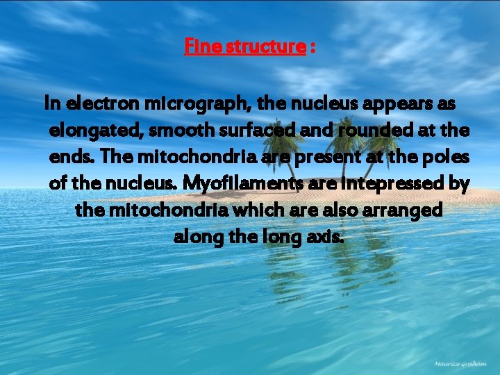 Fine structure : In electron micrograph, the nucleus appears as elongated, smooth surfaced and