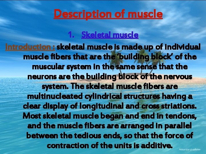 Description of muscle 1. Skeletal muscle Introduction : skeletal muscle is made up of