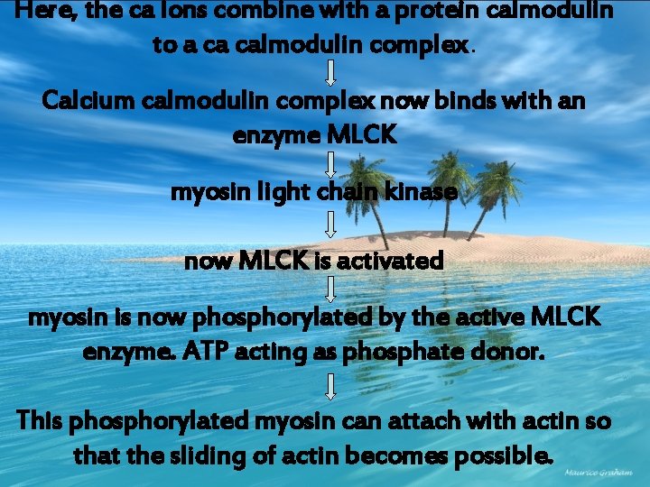 Here, the ca ions combine with a protein calmodulin to a ca calmodulin complex.