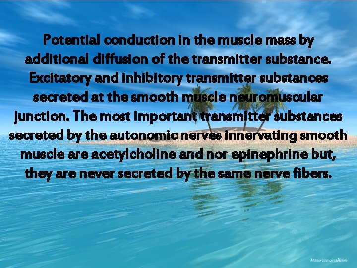 Potential conduction in the muscle mass by additional diffusion of the transmitter substance. Excitatory