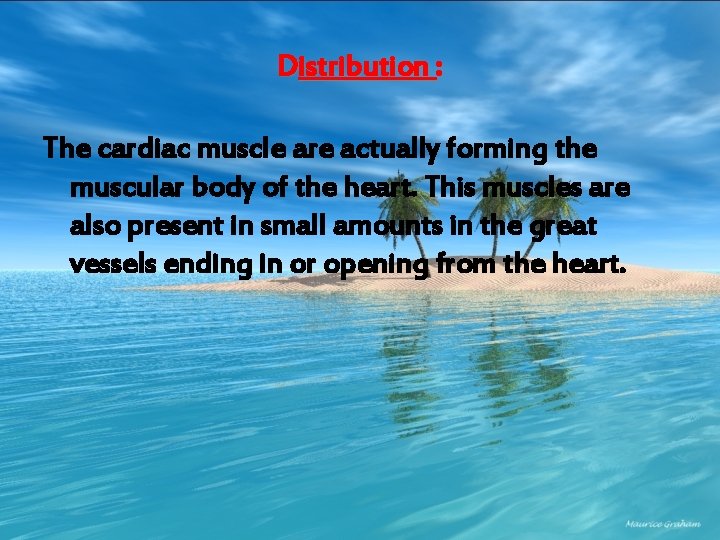 Distribution : The cardiac muscle are actually forming the muscular body of the heart.