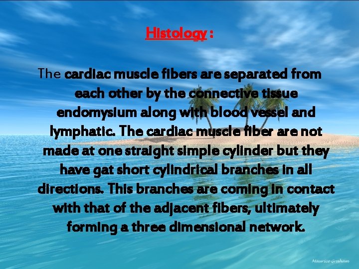 Histology : The cardiac muscle fibers are separated from each other by the connective