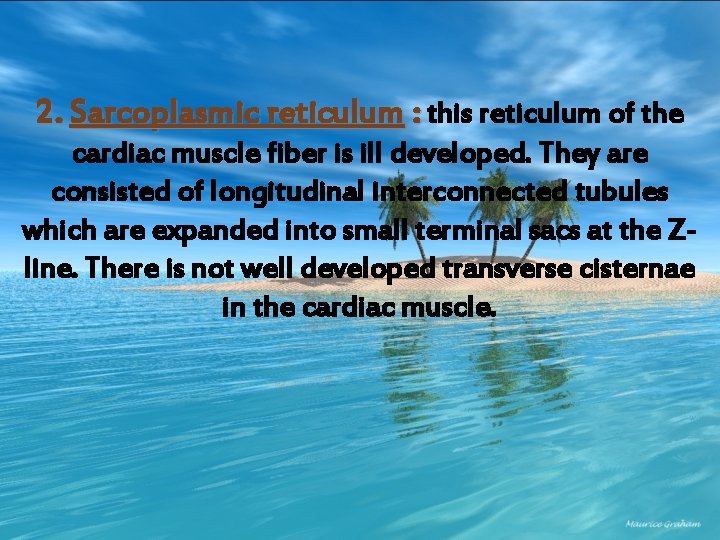 2. Sarcoplasmic reticulum : this reticulum of the cardiac muscle fiber is ill developed.
