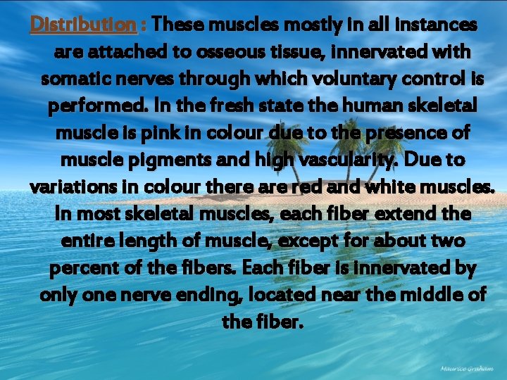Distribution : These muscles mostly in all instances are attached to osseous tissue, innervated