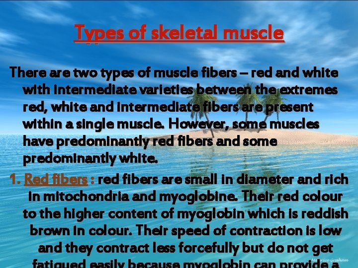 Types of skeletal muscle There are two types of muscle fibers – red and