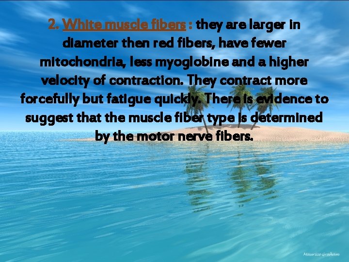 2. White muscle fibers : they are larger in diameter then red fibers, have