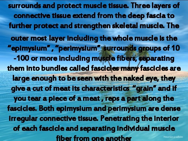 surrounds and protect muscle tissue. Three layers of connective tissue extend from the deep