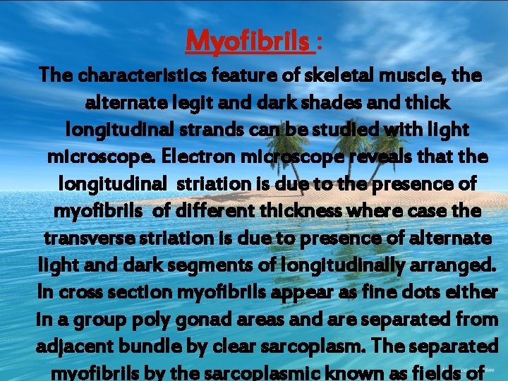 Myofibrils : The characteristics feature of skeletal muscle, the alternate legit and dark shades