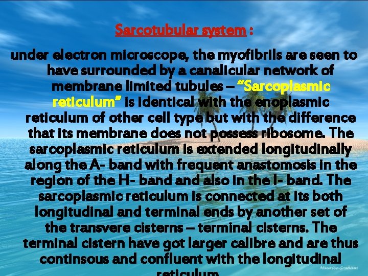 Sarcotubular system : under electron microscope, the myofibrils are seen to have surrounded by