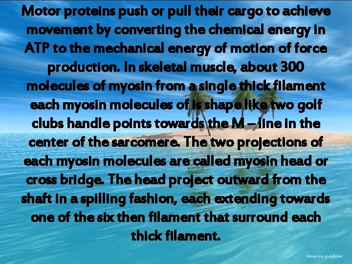 Motor proteins push or pull their cargo to achieve movement by converting the chemical