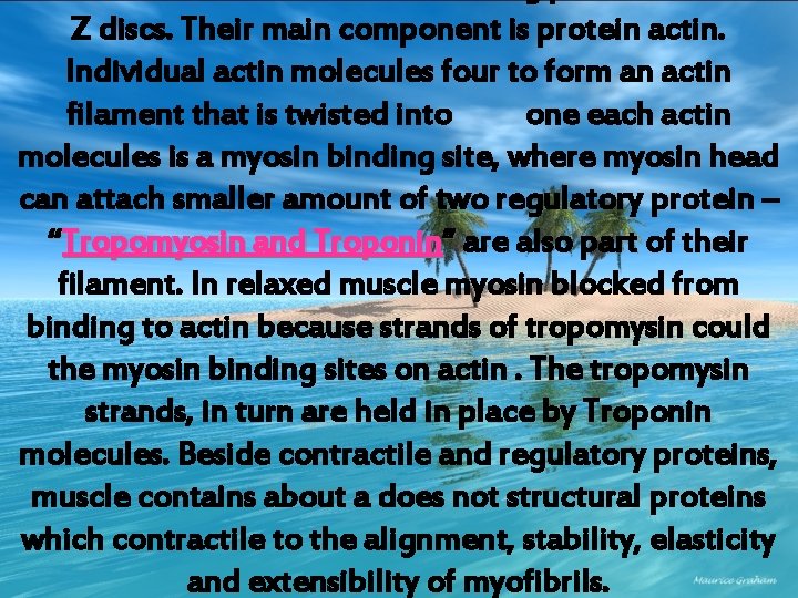 Z discs. Their main component is protein actin. Individual actin molecules four to form