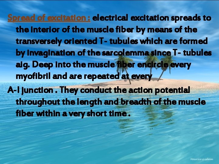 Spread of excitation : electrical excitation spreads to the interior of the muscle fiber