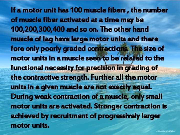 If a motor unit has 100 muscle fibers , the number of muscle fiber