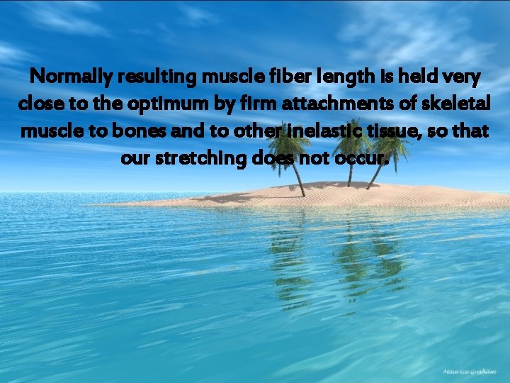 Normally resulting muscle fiber length is held very close to the optimum by firm