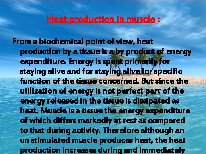 Heat production in muscle : From a biochemical point of view, heat production by