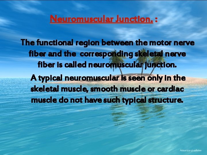 Neuromuscular Junction. : The functional region between the motor nerve fiber and the corresponding