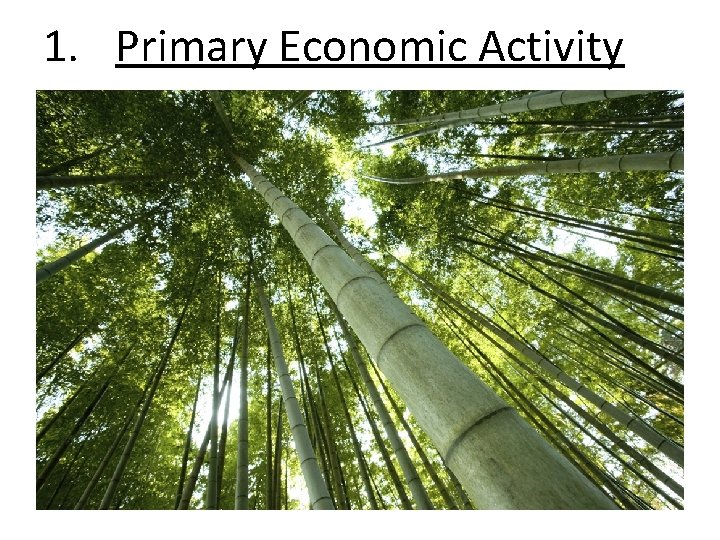 1. Primary Economic Activity 