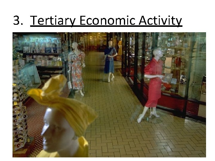 3. Tertiary Economic Activity 