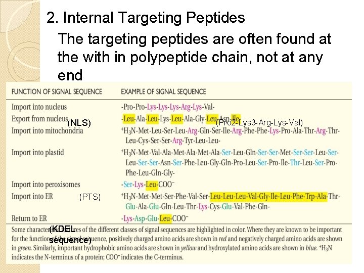 2. Internal Targeting Peptides The targeting peptides are often found at the with in