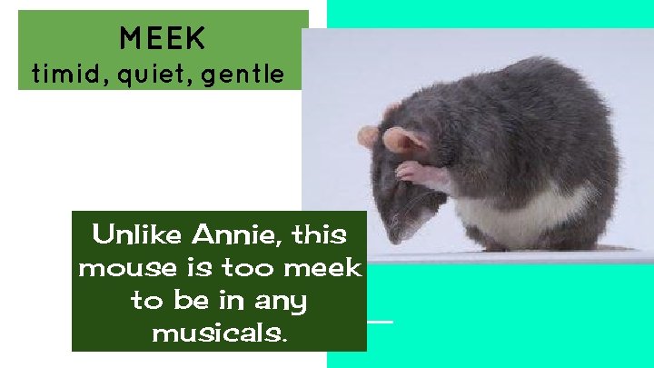 MEEK timid, quiet, gentle Unlike Annie, this mouse is too meek to be in
