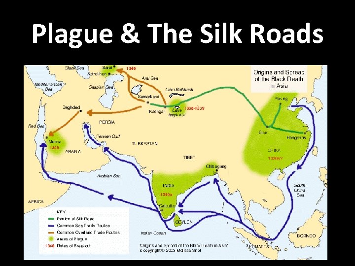 Plague & The Silk Roads 