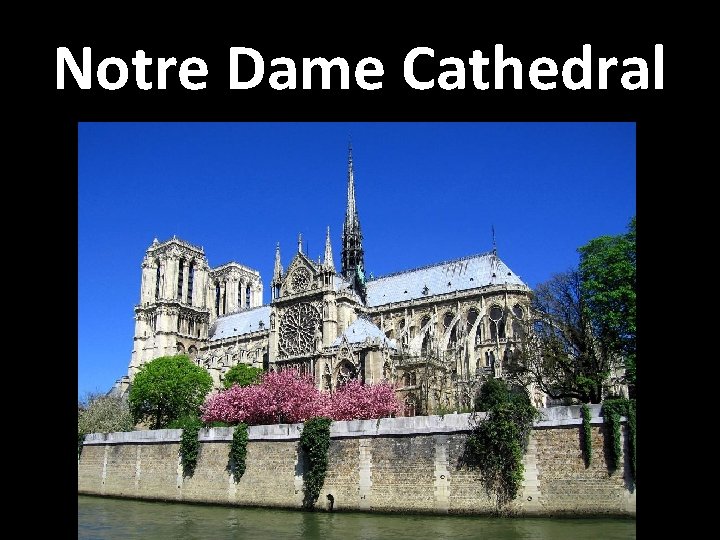 Notre Dame Cathedral 