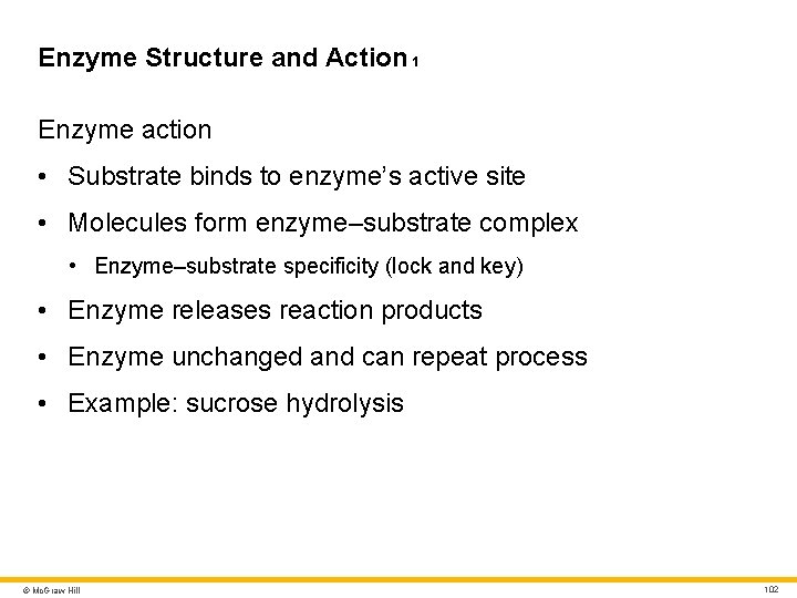 Enzyme Structure and Action 1 Enzyme action • Substrate binds to enzyme’s active site Enzyme Structure and Action 1 Enzyme action • Substrate binds to enzyme’s active site
