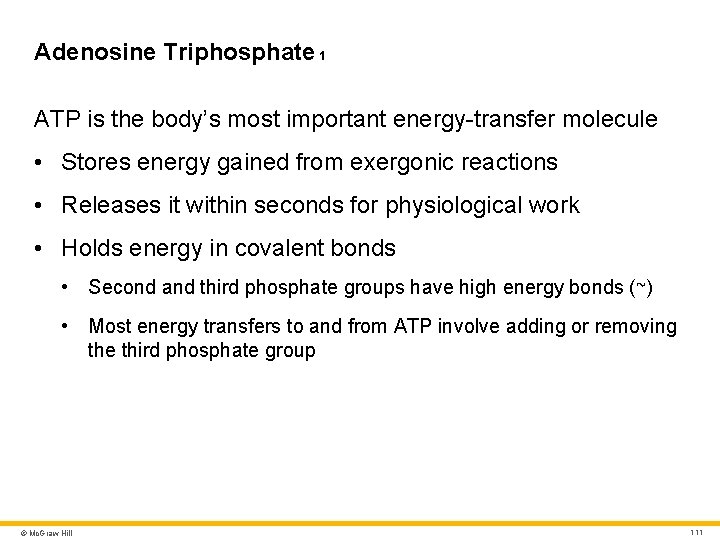 Adenosine Triphosphate 1 ATP is the body’s most important energy-transfer molecule • Stores energy Adenosine Triphosphate 1 ATP is the body’s most important energy-transfer molecule • Stores energy