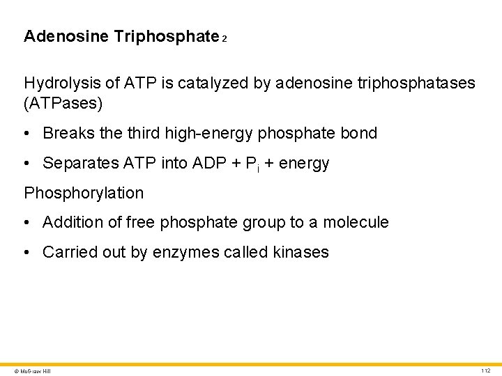 Adenosine Triphosphate 2 Hydrolysis of ATP is catalyzed by adenosine triphosphatases (ATPases) • Breaks Adenosine Triphosphate 2 Hydrolysis of ATP is catalyzed by adenosine triphosphatases (ATPases) • Breaks