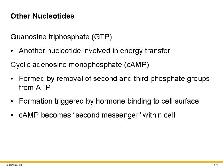 Other Nucleotides Guanosine triphosphate (GTP) • Another nucleotide involved in energy transfer Cyclic adenosine Other Nucleotides Guanosine triphosphate (GTP) • Another nucleotide involved in energy transfer Cyclic adenosine
