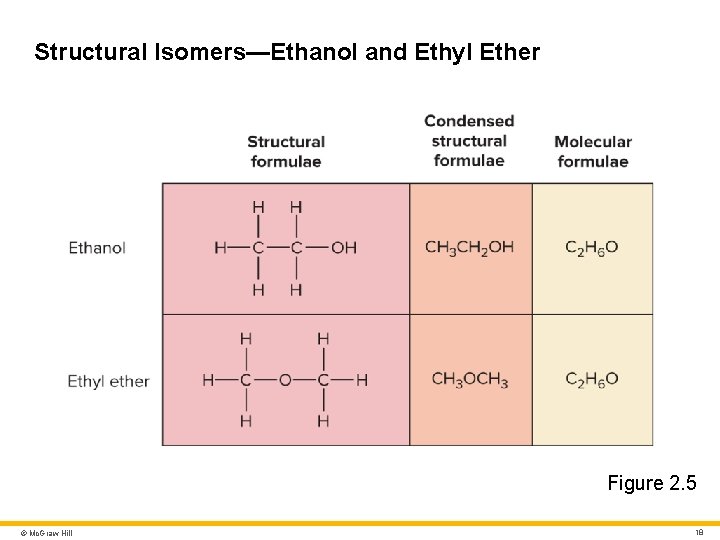 Structural Isomers—Ethanol and Ethyl Ether Figure 2. 5 © Mc. Graw Hill 18 Structural Isomers—Ethanol and Ethyl Ether Figure 2. 5 © Mc. Graw Hill 18