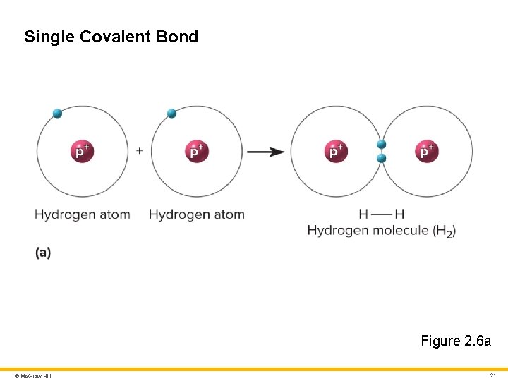 Single Covalent Bond Figure 2. 6 a © Mc. Graw Hill 21 Single Covalent Bond Figure 2. 6 a © Mc. Graw Hill 21