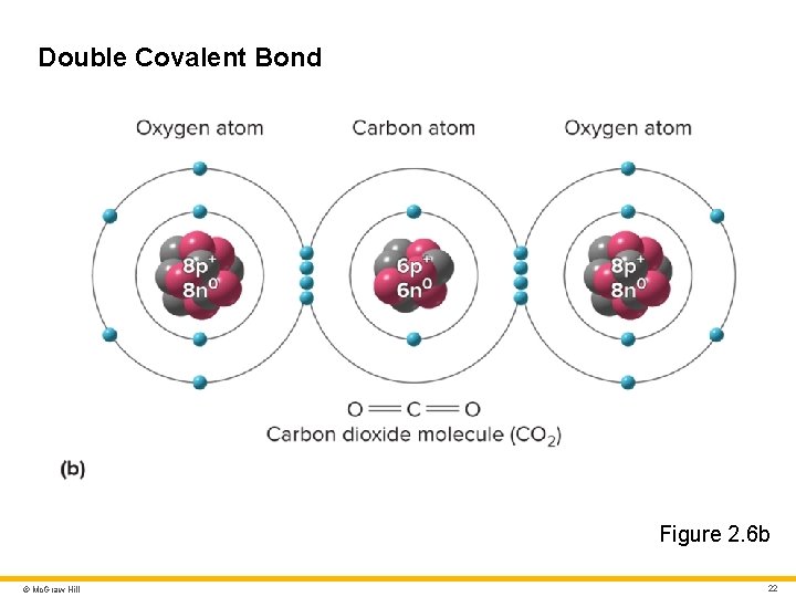 Double Covalent Bond Figure 2. 6 b © Mc. Graw Hill 22 Double Covalent Bond Figure 2. 6 b © Mc. Graw Hill 22