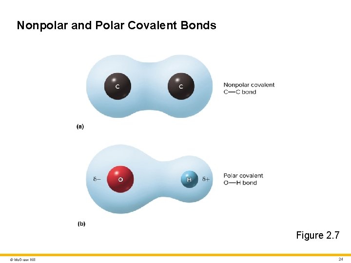 Nonpolar and Polar Covalent Bonds Figure 2. 7 © Mc. Graw Hill 24 Nonpolar and Polar Covalent Bonds Figure 2. 7 © Mc. Graw Hill 24