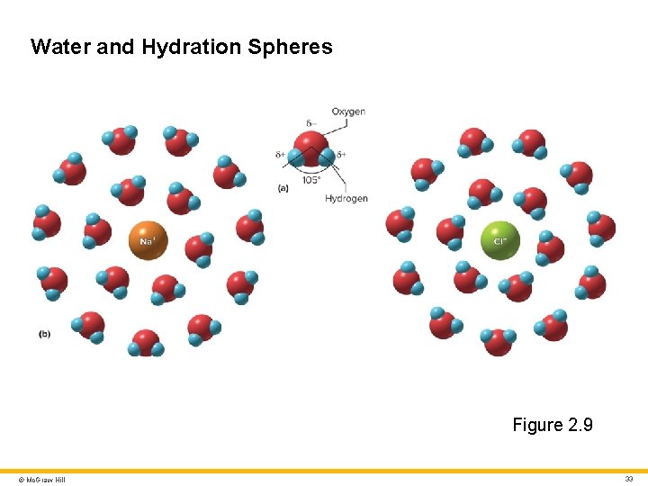 Water and Hydration Spheres Figure 2. 9 © Mc. Graw Hill 33 Water and Hydration Spheres Figure 2. 9 © Mc. Graw Hill 33