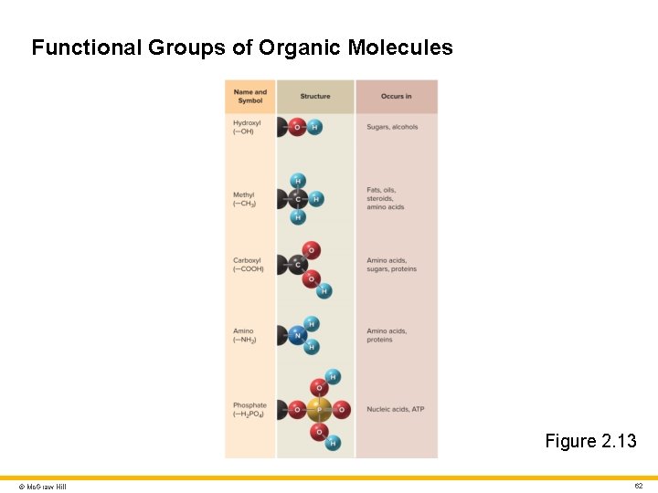 Functional Groups of Organic Molecules Figure 2. 13 © Mc. Graw Hill 62 Functional Groups of Organic Molecules Figure 2. 13 © Mc. Graw Hill 62