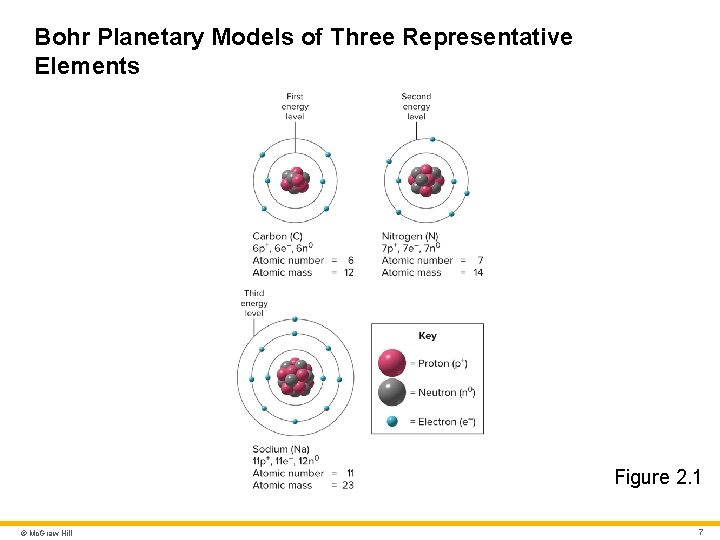 Bohr Planetary Models of Three Representative Elements Figure 2. 1 © Mc. Graw Hill Bohr Planetary Models of Three Representative Elements Figure 2. 1 © Mc. Graw Hill
