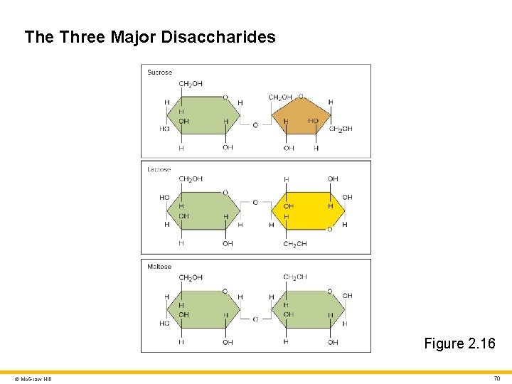 The Three Major Disaccharides Figure 2. 16 © Mc. Graw Hill 70 The Three Major Disaccharides Figure 2. 16 © Mc. Graw Hill 70