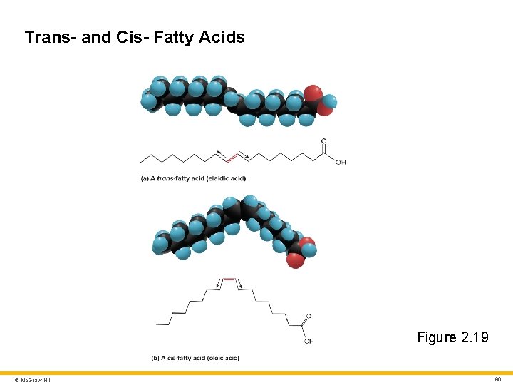 Trans- and Cis- Fatty Acids Figure 2. 19 © Mc. Graw Hill 80 Trans- and Cis- Fatty Acids Figure 2. 19 © Mc. Graw Hill 80