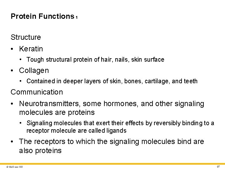 Protein Functions 1 Structure • Keratin • Tough structural protein of hair, nails, skin Protein Functions 1 Structure • Keratin • Tough structural protein of hair, nails, skin