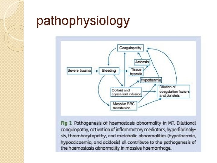 pathophysiology 