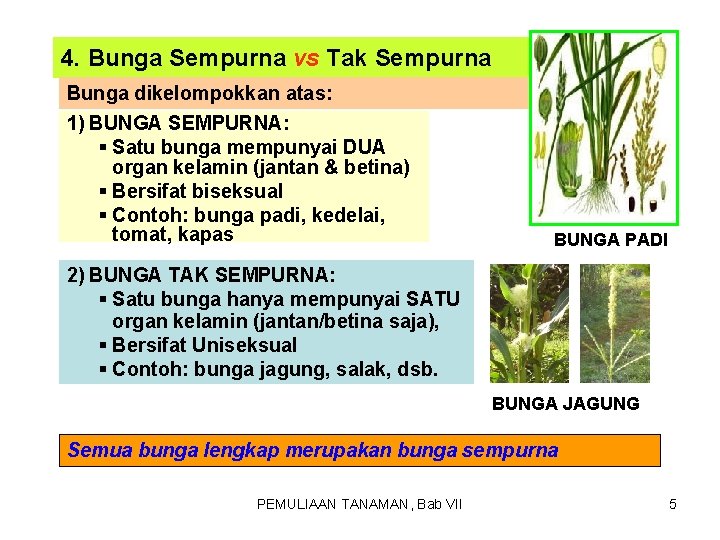 4. Bunga Sempurna vs Tak Sempurna Bunga dikelompokkan atas: 1) BUNGA SEMPURNA: § Satu