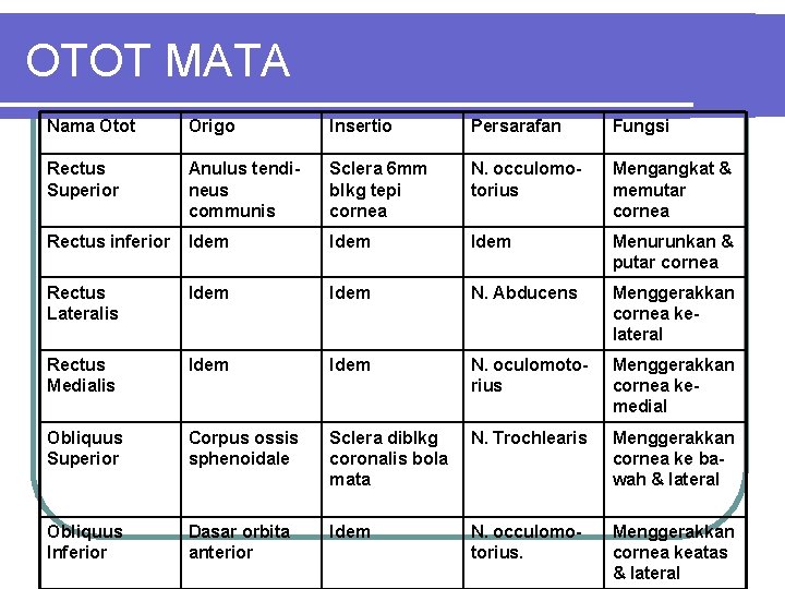 OTOT MATA Nama Otot Origo Insertio Persarafan Fungsi Rectus Superior Anulus tendineus communis Sclera OTOT MATA Nama Otot Origo Insertio Persarafan Fungsi Rectus Superior Anulus tendineus communis Sclera